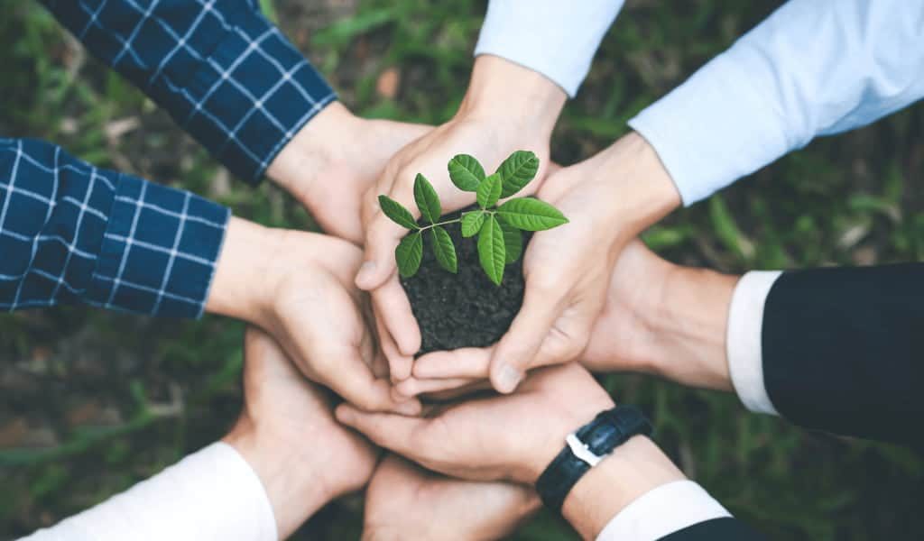 Growing Together - Peers