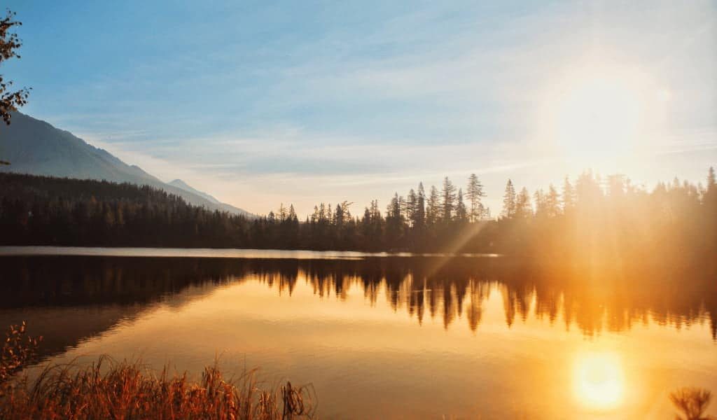 DBT Sessions Virginia