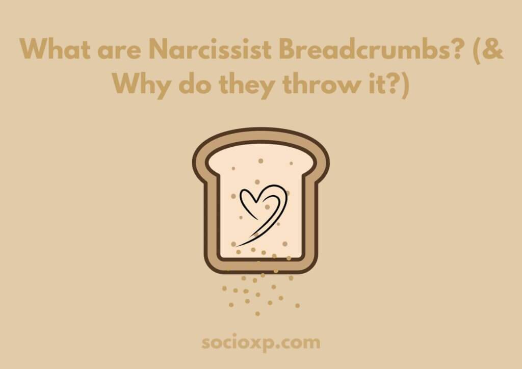What are Narcissist Breadcrumbs? (& Why do they throw it?)
