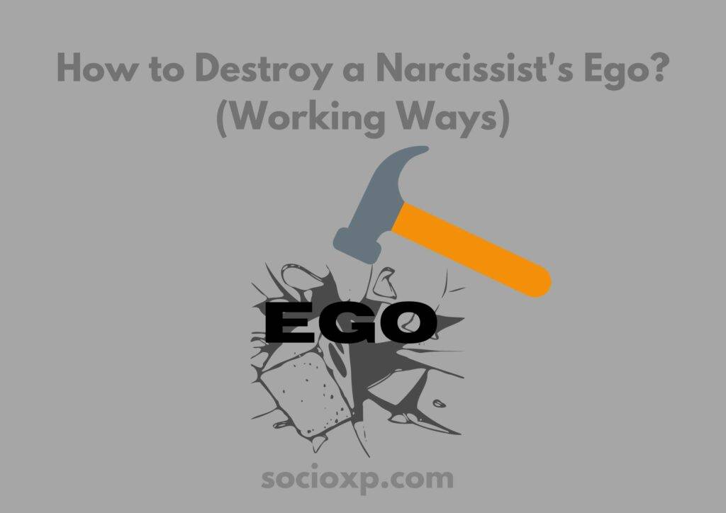 How to Destroy a Narcissist's Ego? (Working Ways)