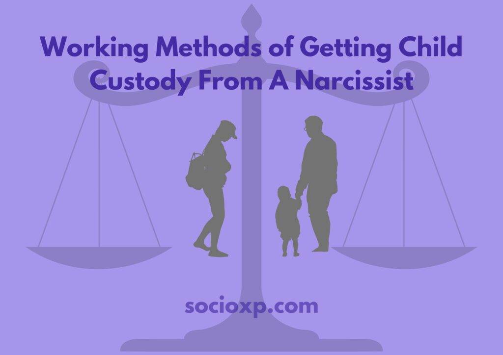 Working Methods of Getting Child Custody From A Narcissist